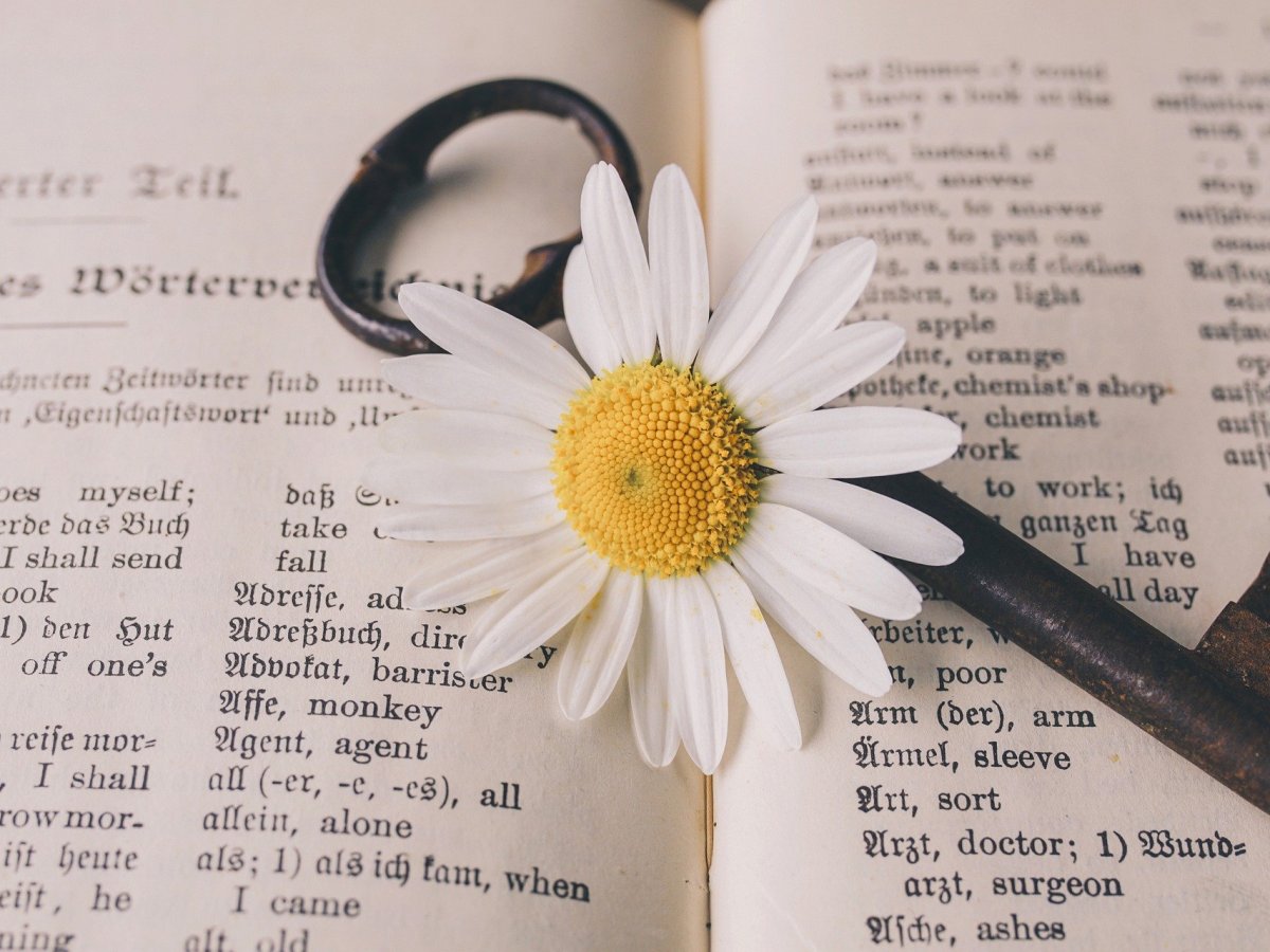 German ALPHABETS and&nbsp;Pronunciation