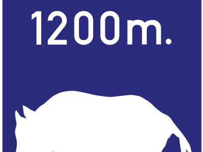 GERMAN learning TIPS